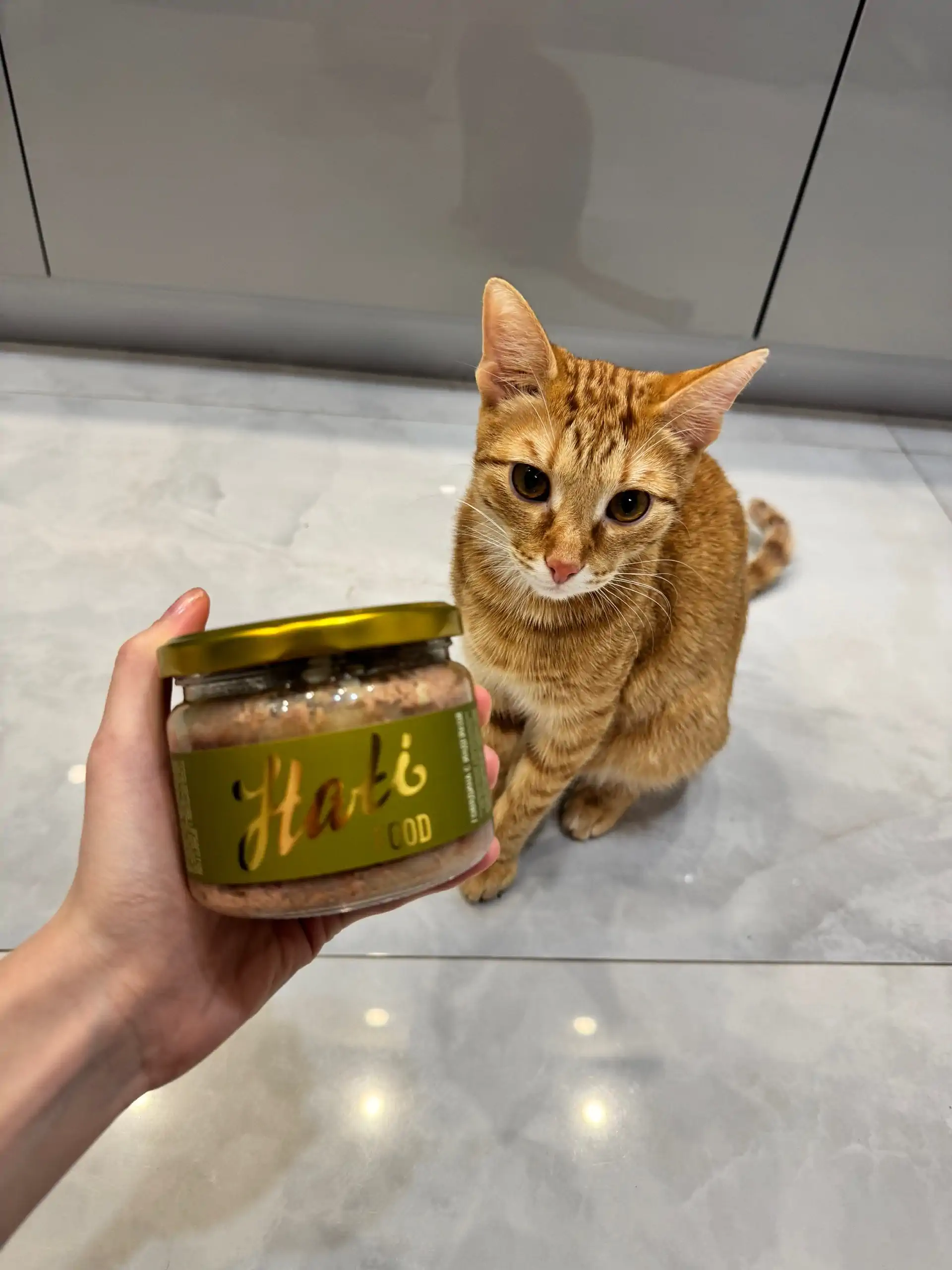 Говядина с индейкой для кошек, приготовленное (кусочки) photo review