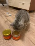 Индейка для кошек, приготовленное (паштет) photo review